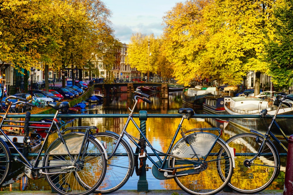 bicycles on bridge during daytime