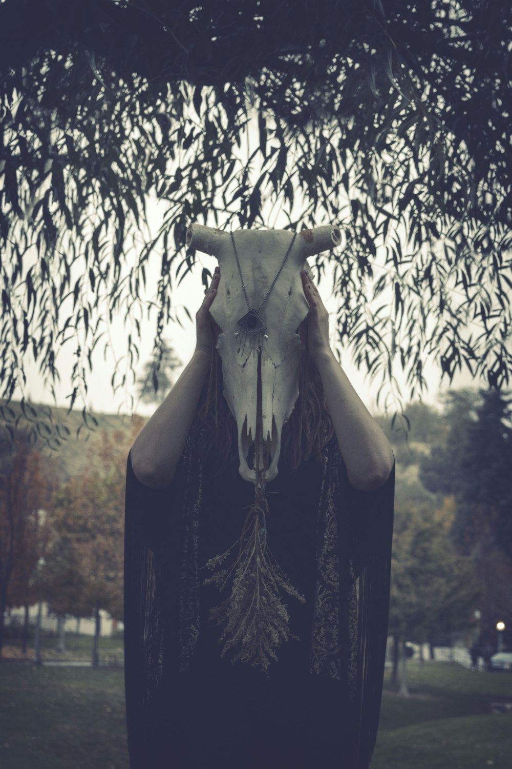 person wearing black robe and animal skull under tree