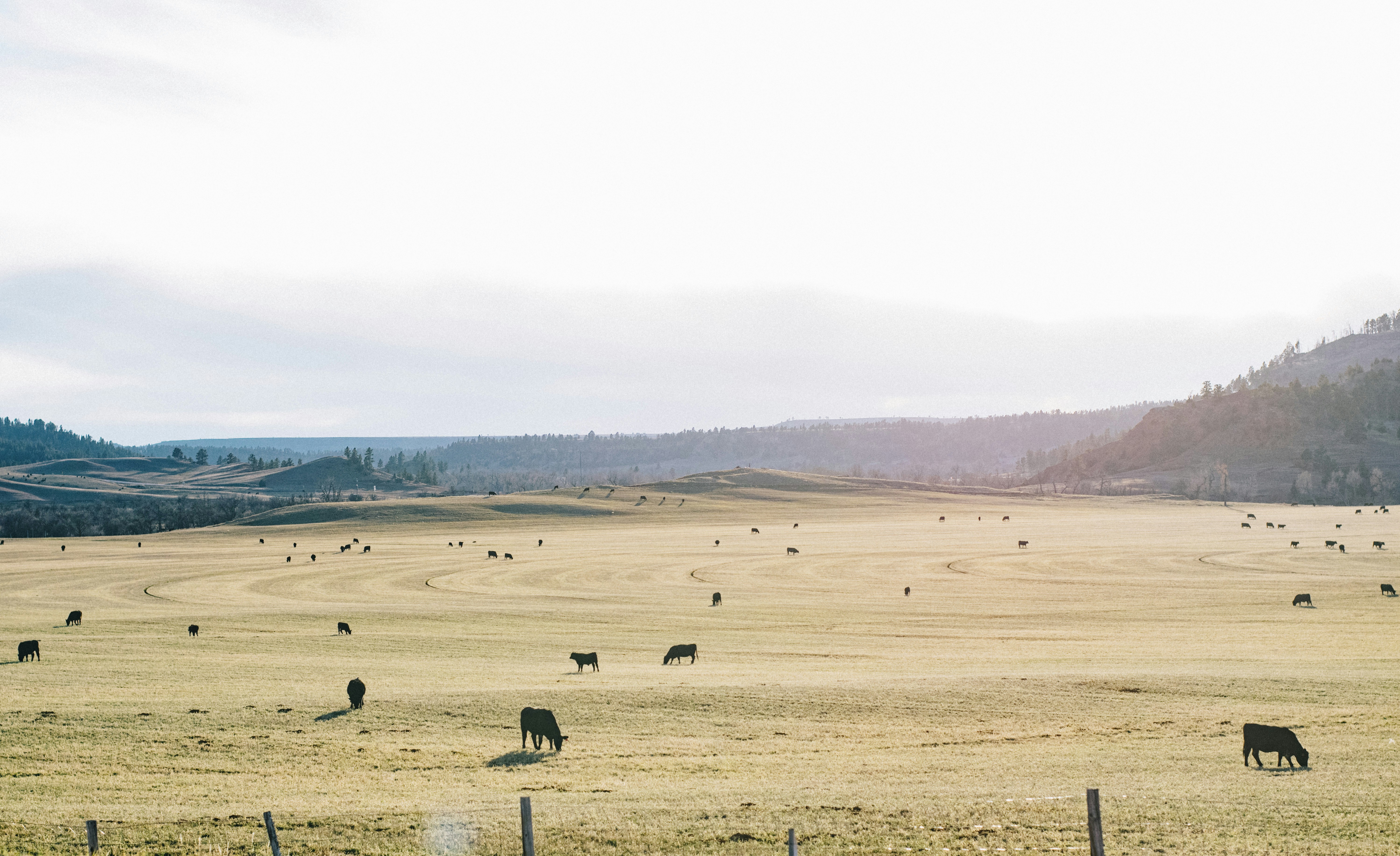 Photo by seitamaaphotography