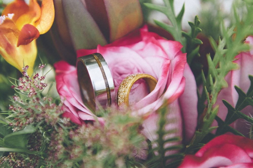 silver-colored ring and gold-colored ring on pink petaled flower