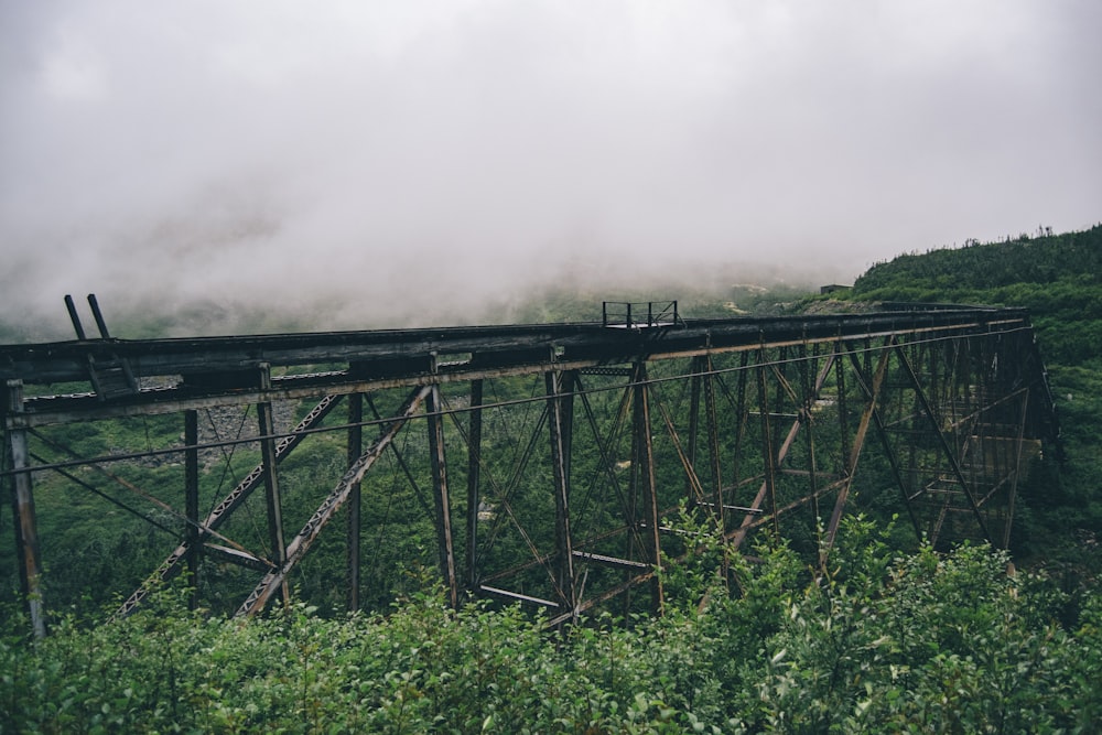 black and grey bridge over forest under white clouds