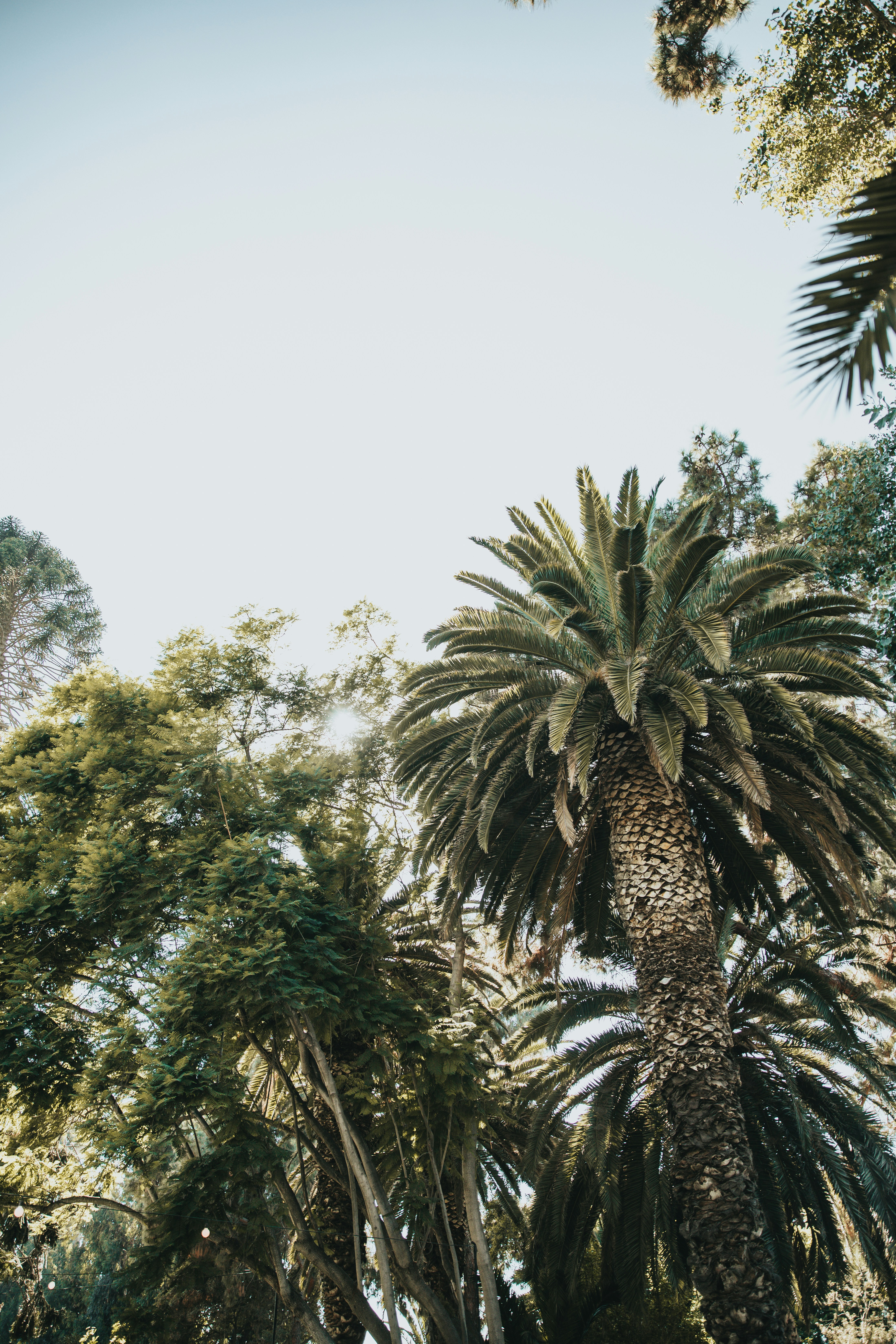 Photo by nate_dumlao