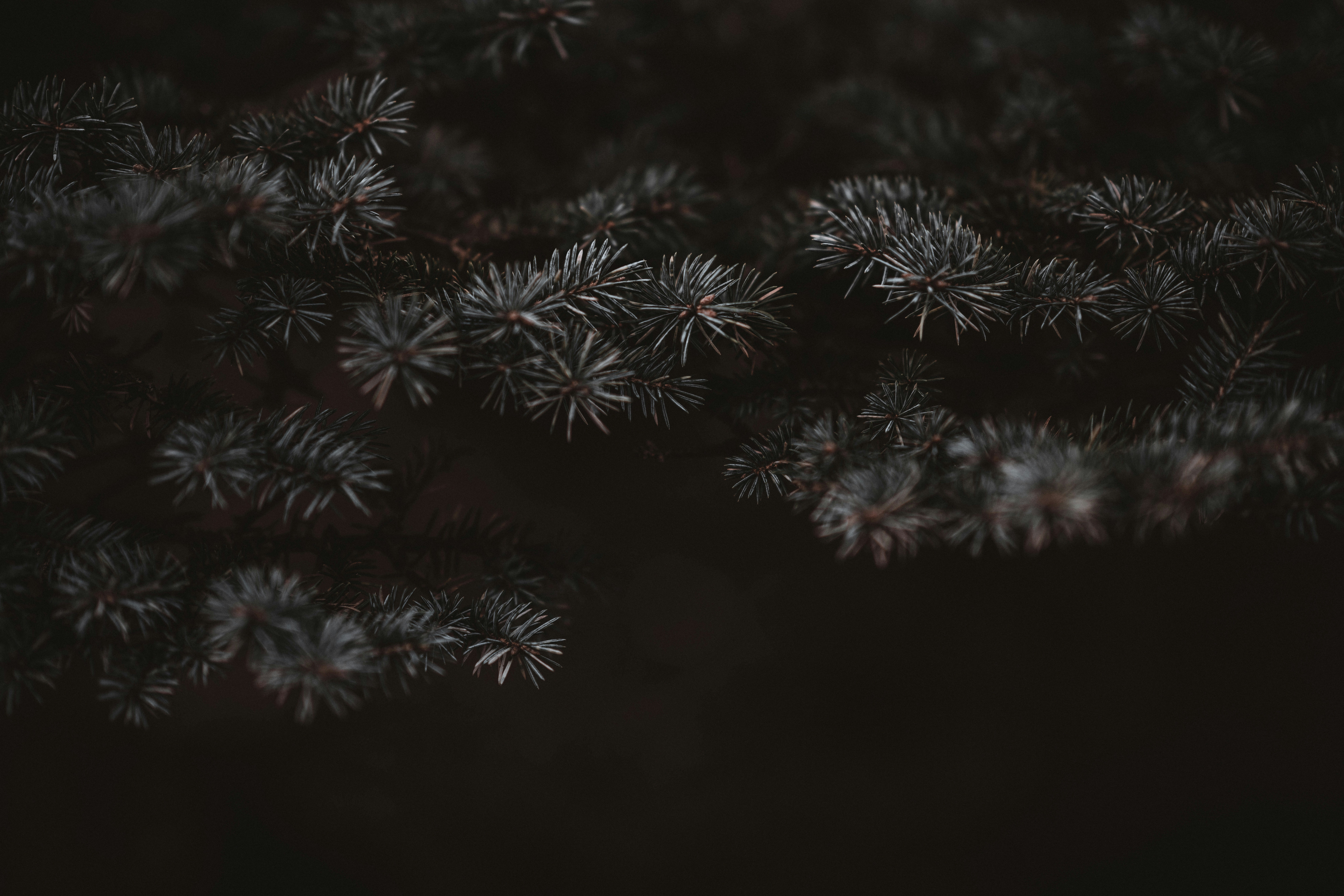 Photo by anniespratt