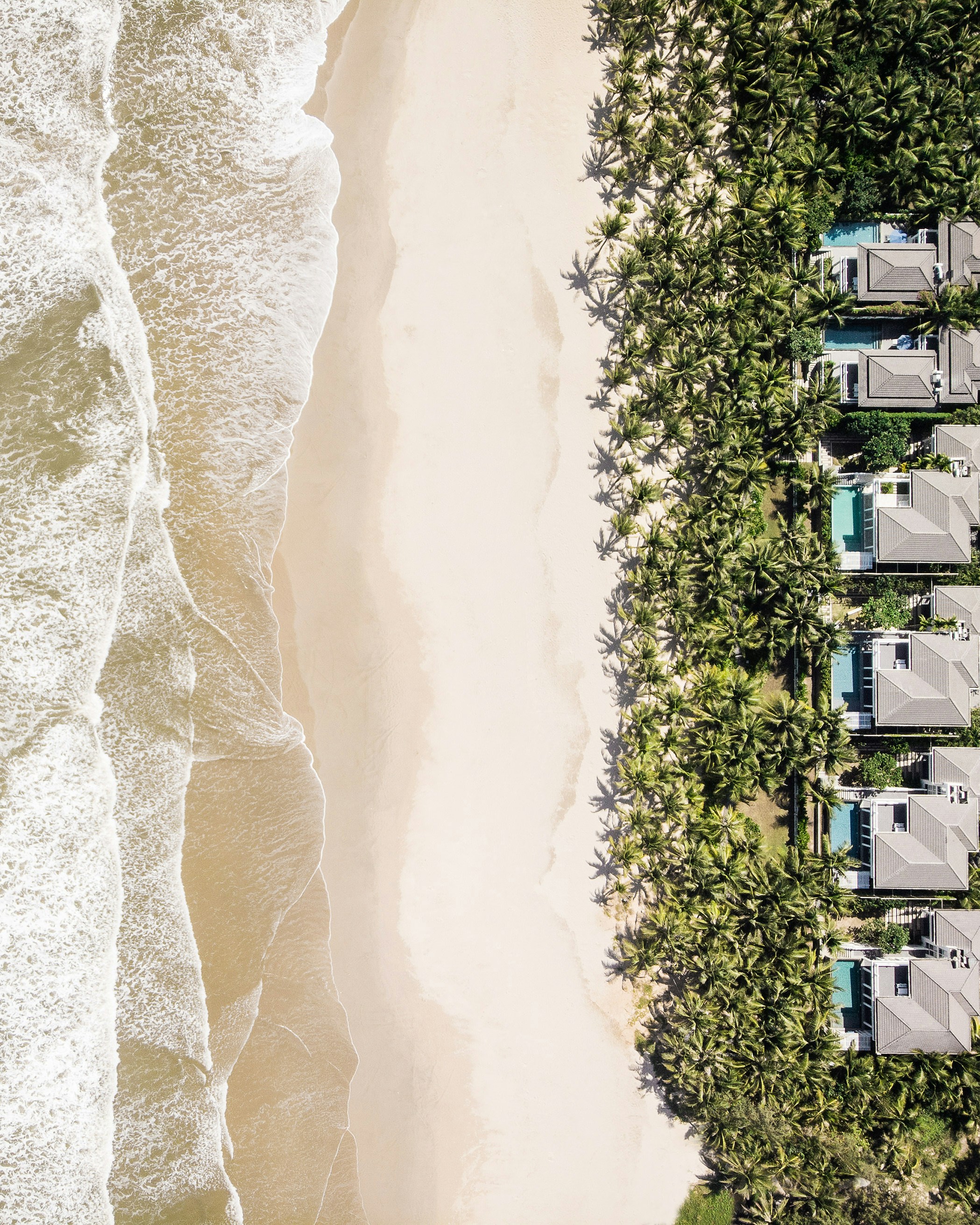 Why Digital Twins Are Revolutionizing Scientific Experimentation