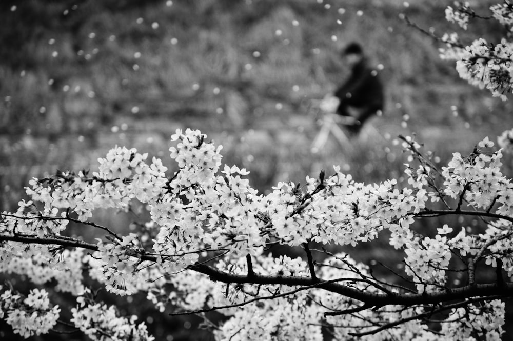 grayscale photo of flowers