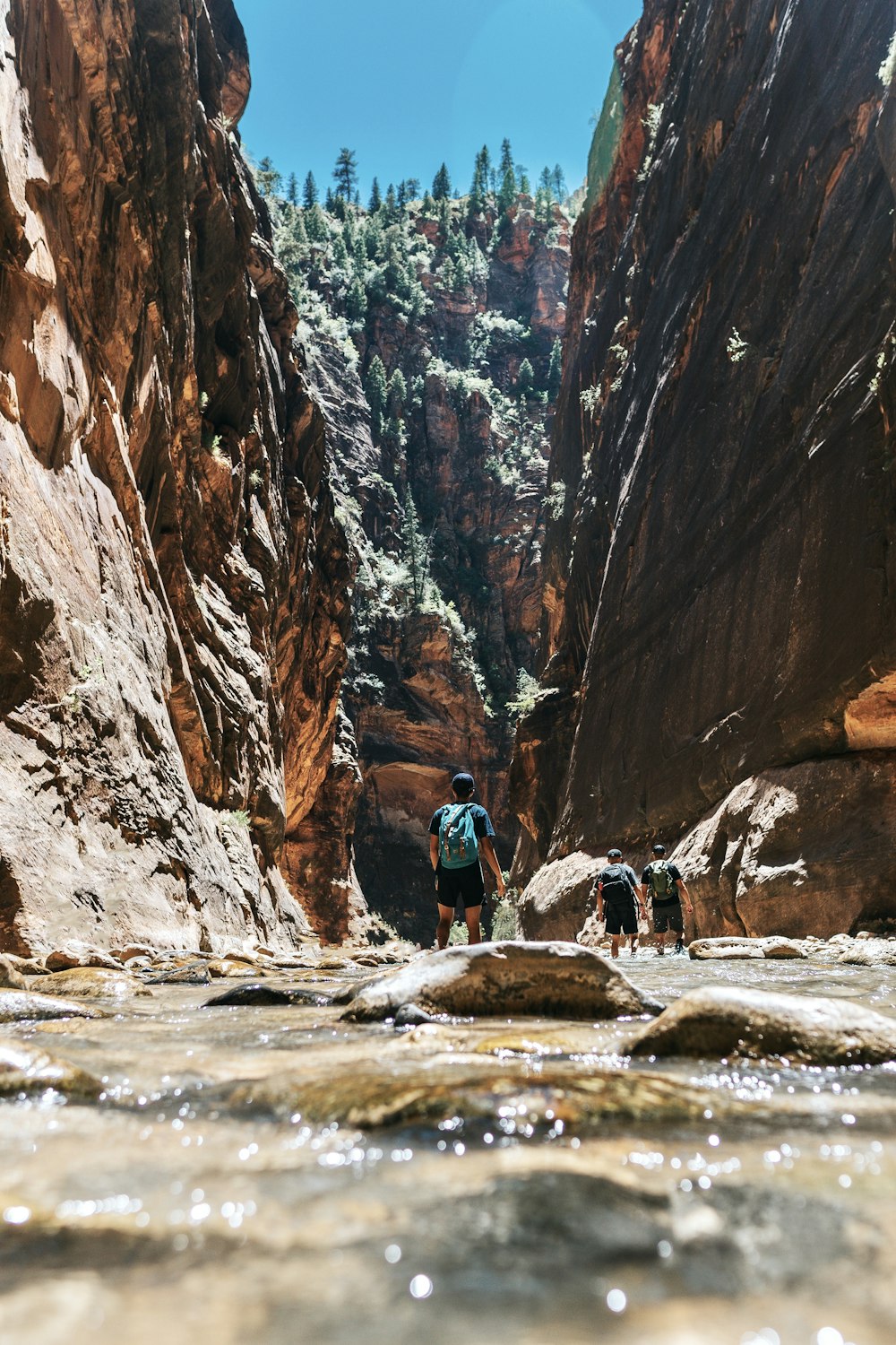 close-up photography of people standing in ridge