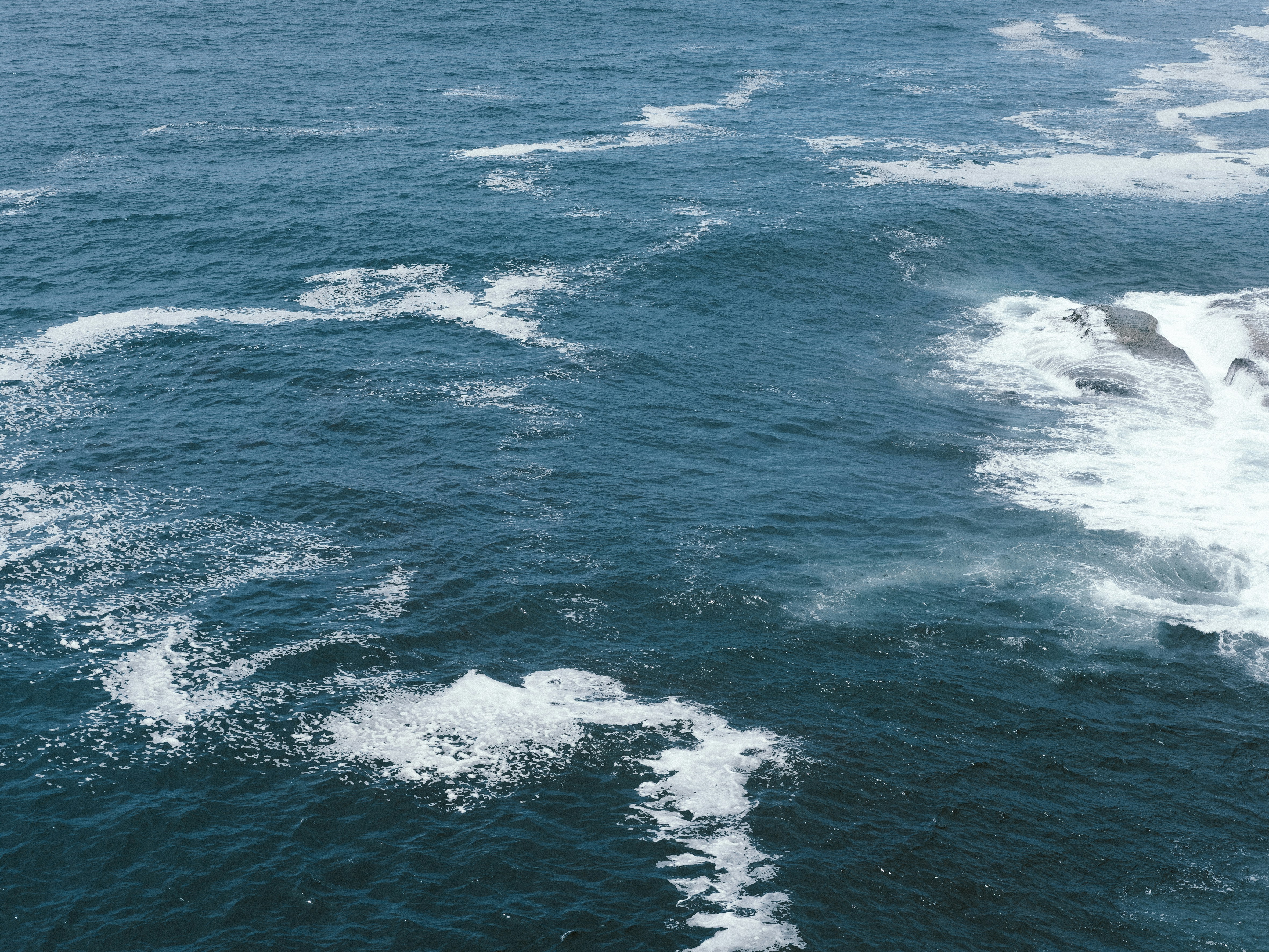 Photo by monk_kollektiv