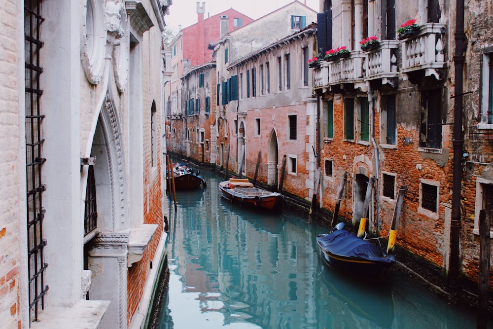 boat on body of water