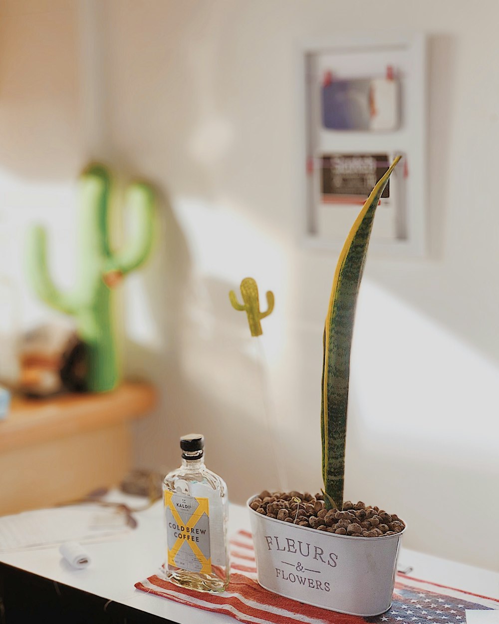 close-up photography of green plant in white container