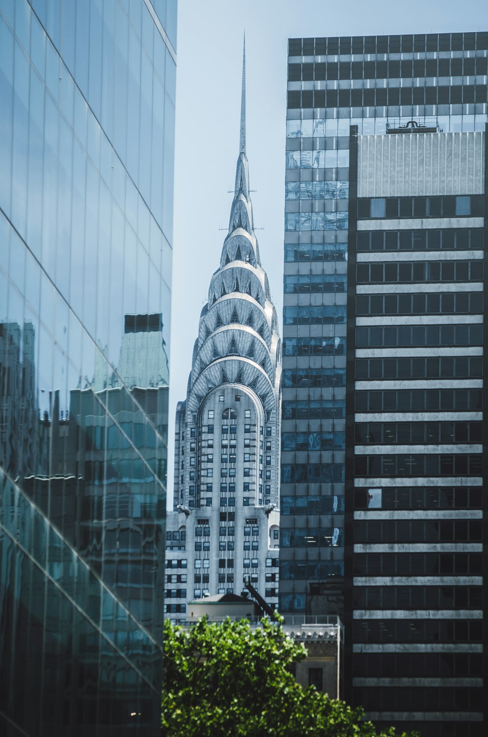 low-angle photography of curtain wall building