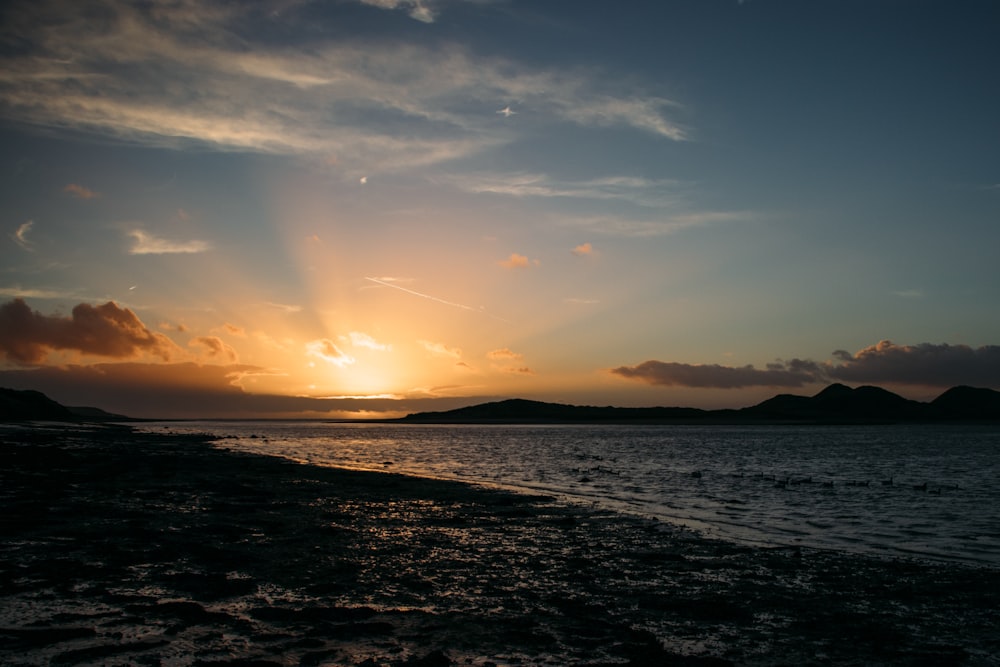 seashore during dawn