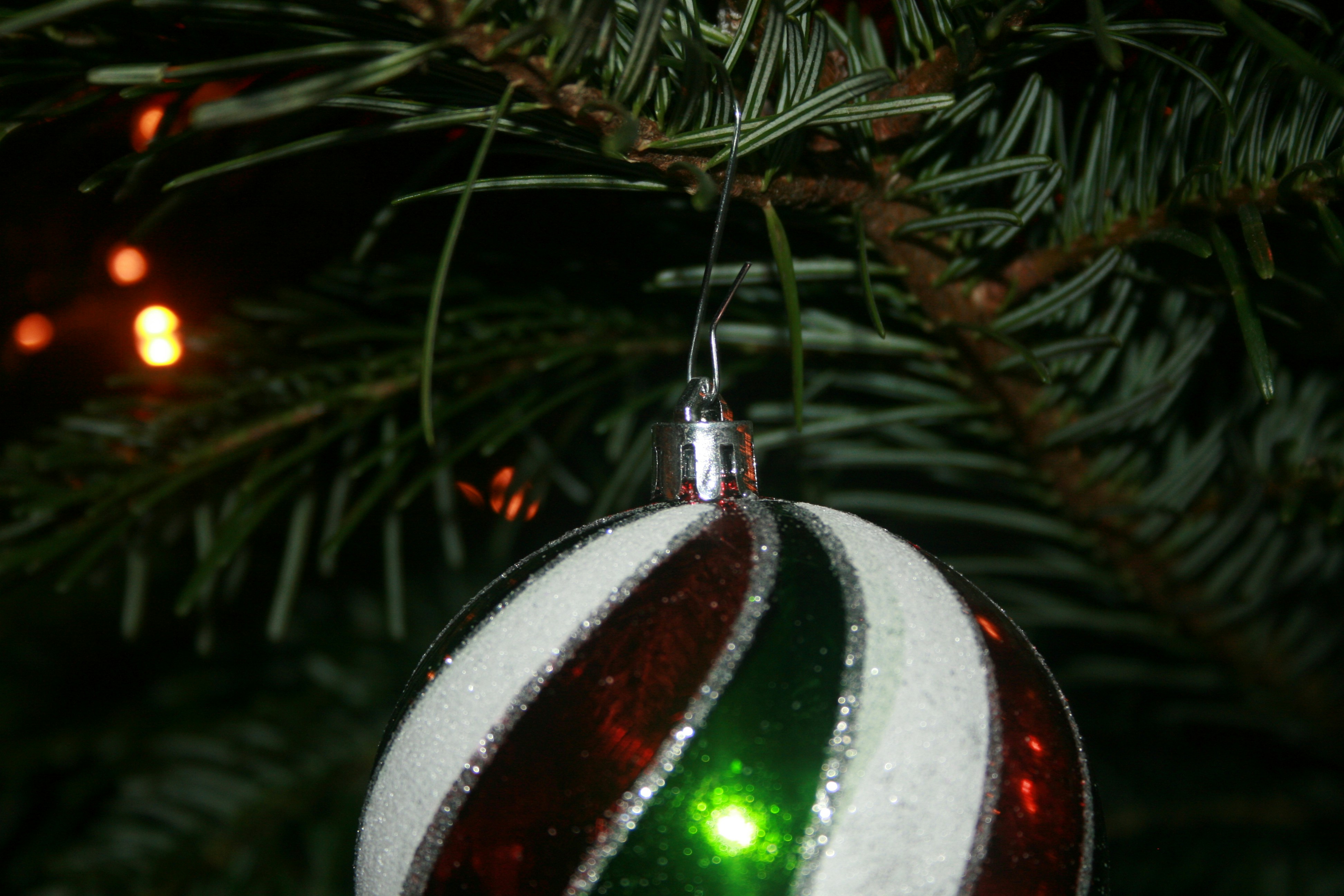 Eco-Friendly Christmas Magic