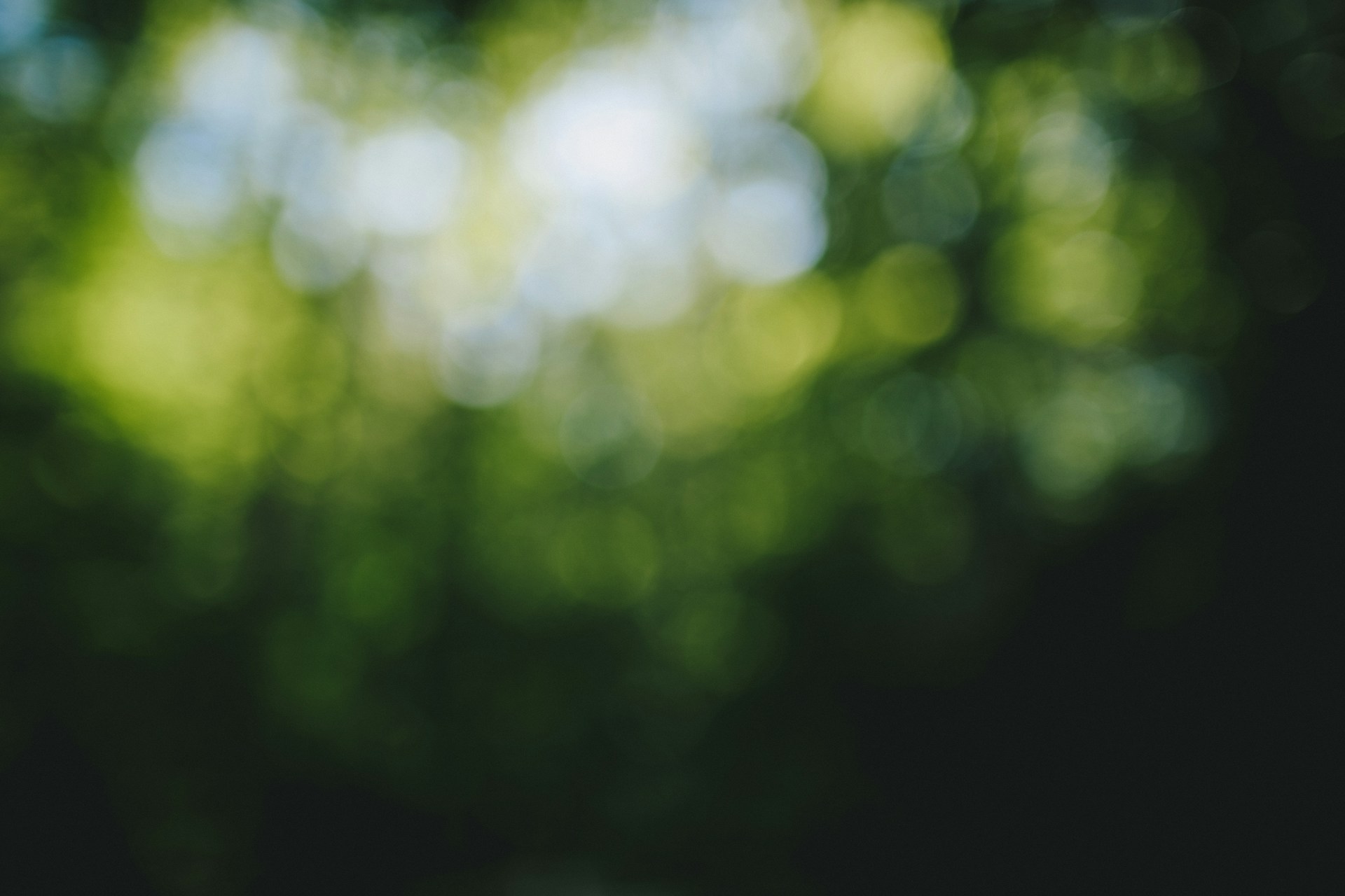 white, green, and yellow floral textile