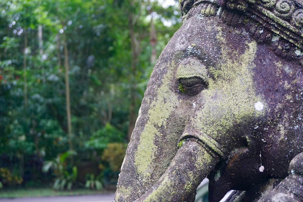 elephant statue