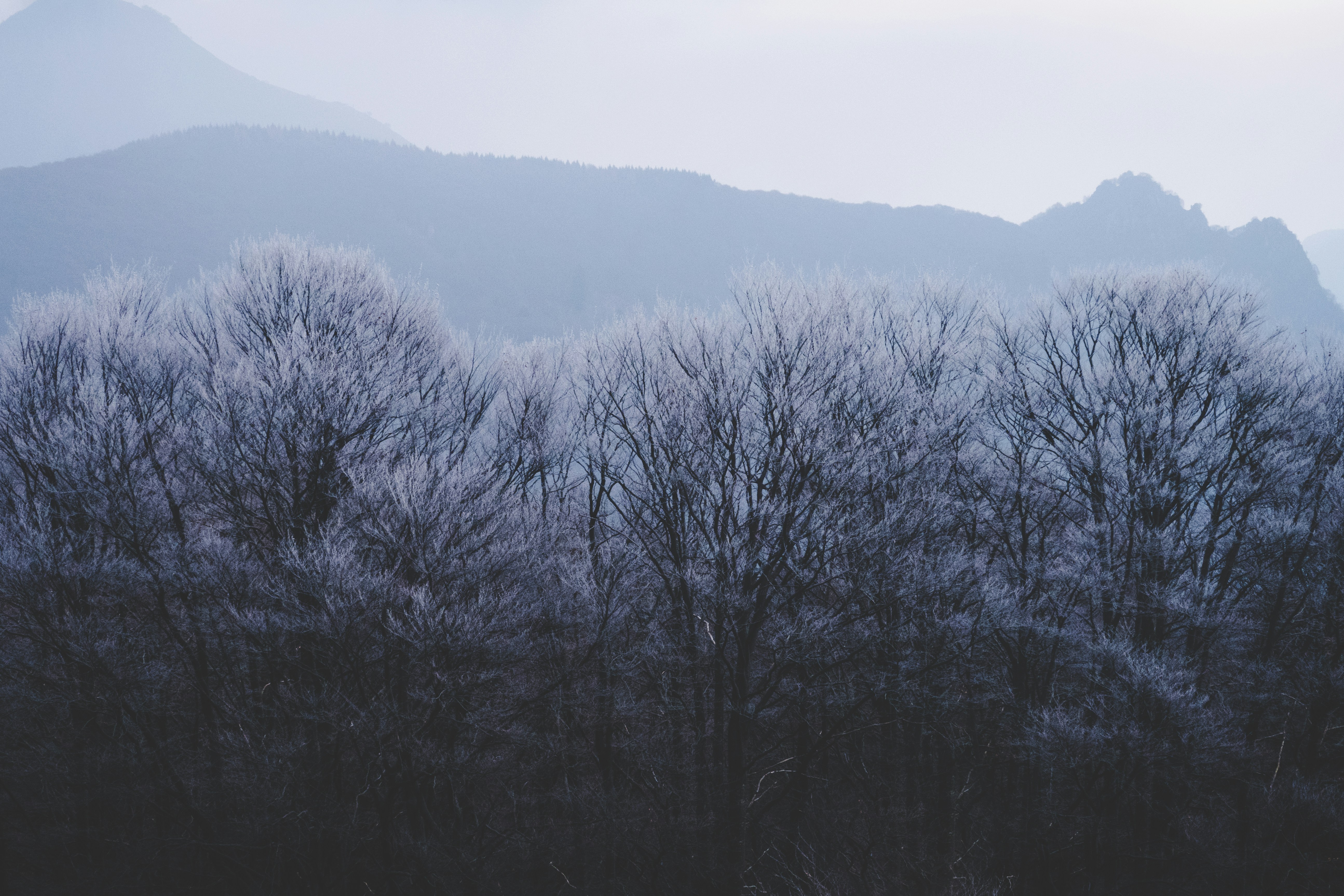 Photo by conti_photos