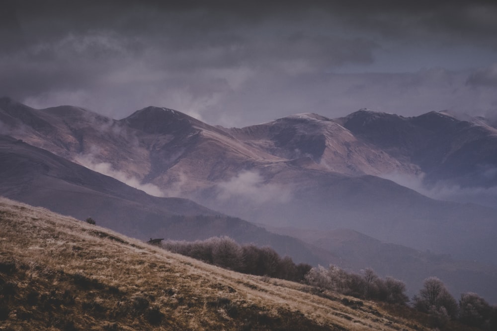 grass and tree covered hills and mountains at the distance