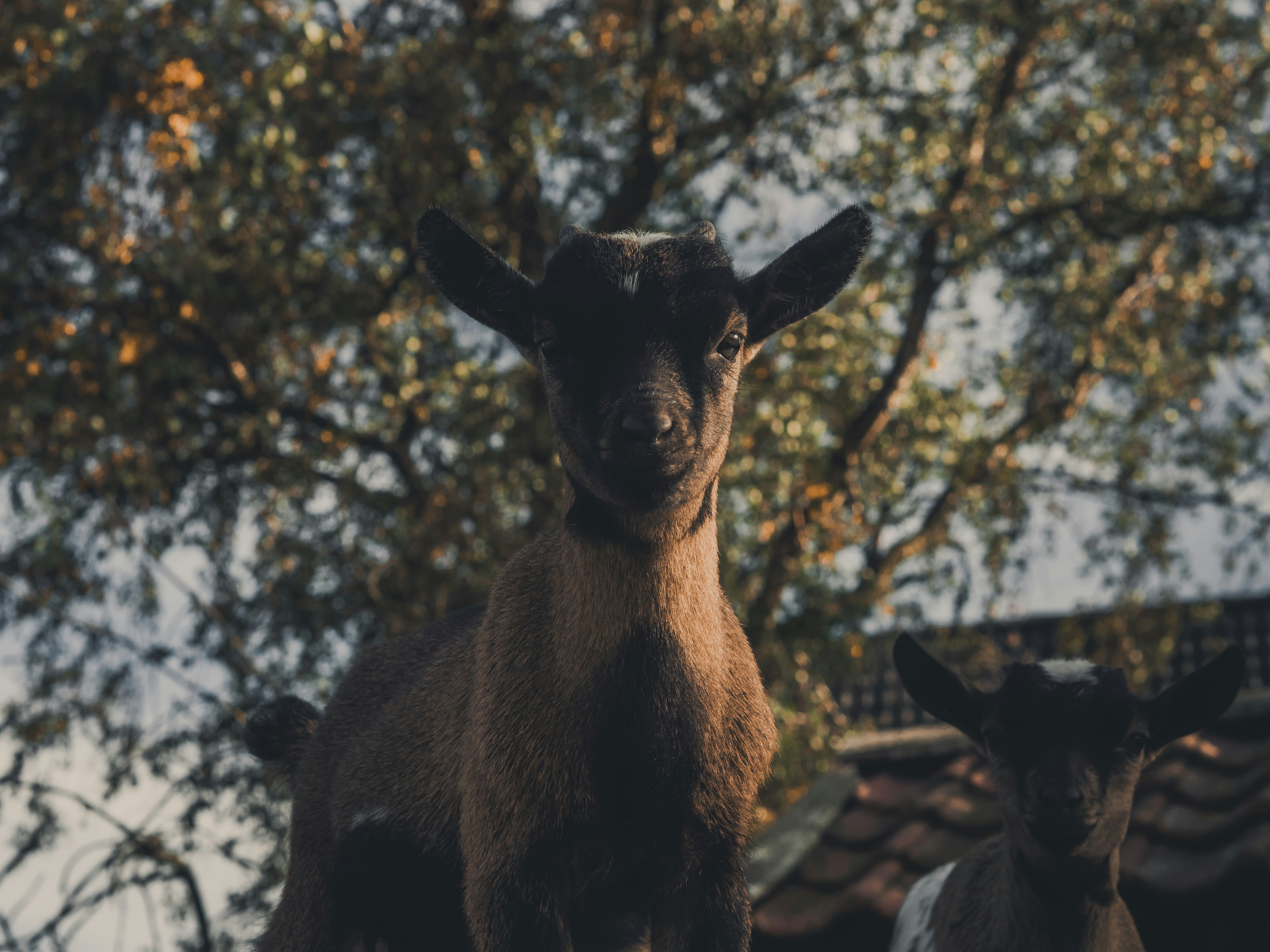 Photo by ronaldwinter