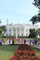 people on garden of White House at daytime