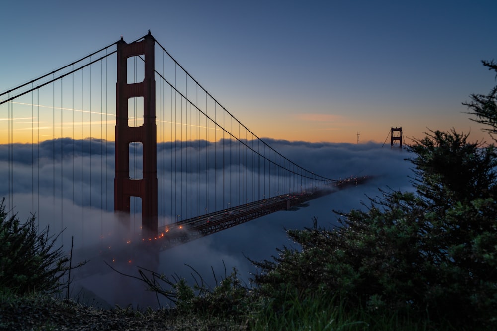 full-suspension bridge covered with fog at daytime