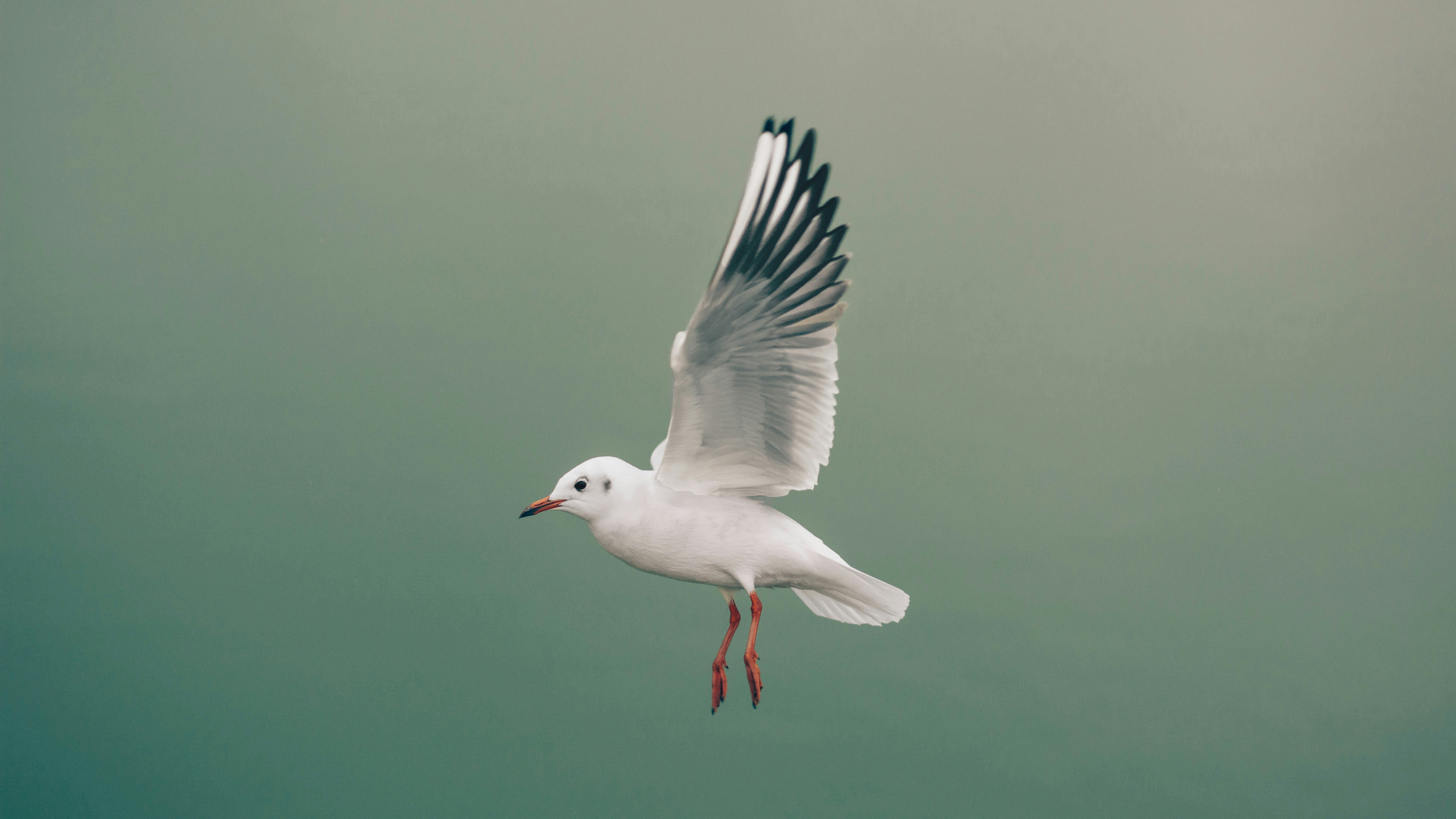 Photo by janerzhang