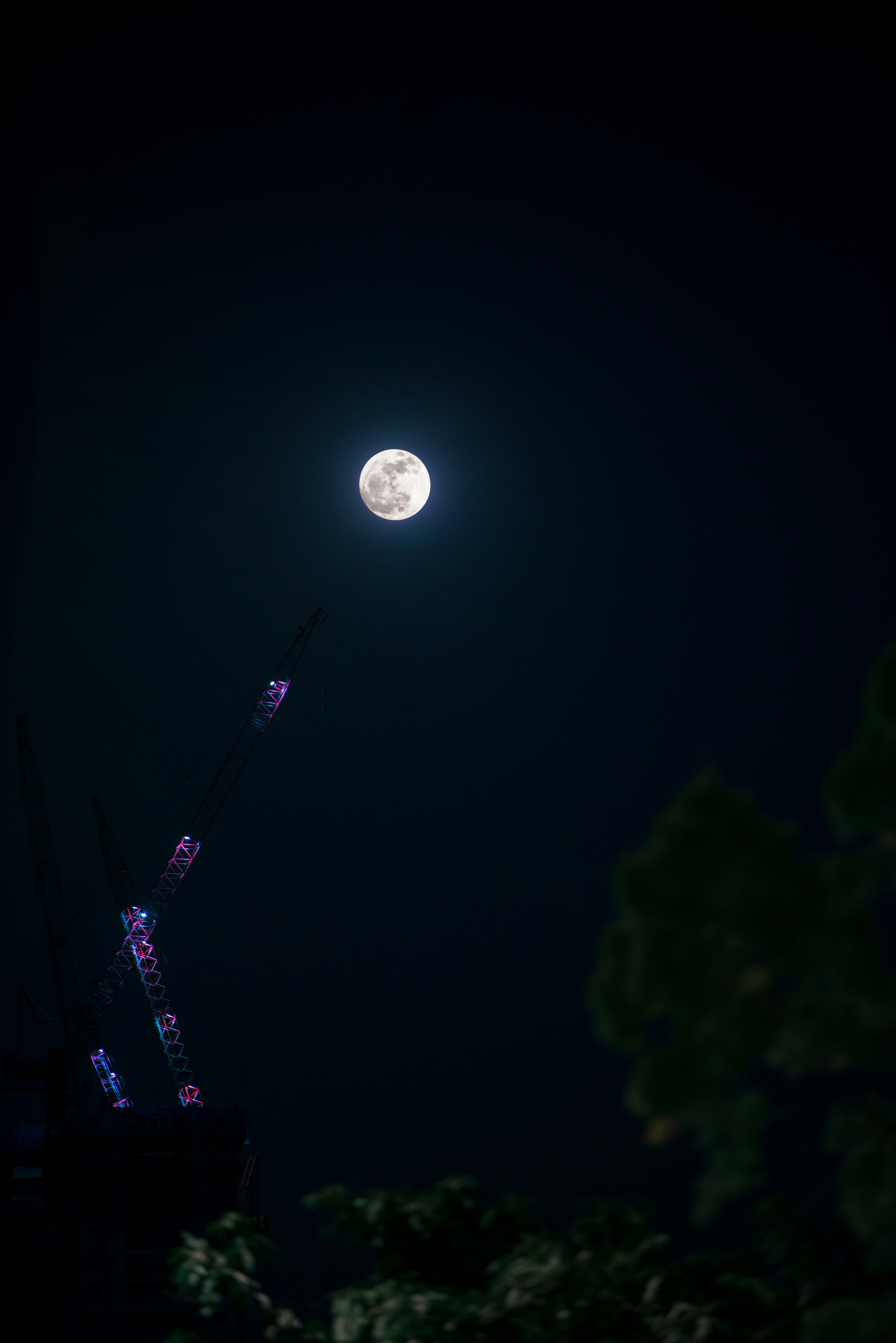 black and purple pendant lamp