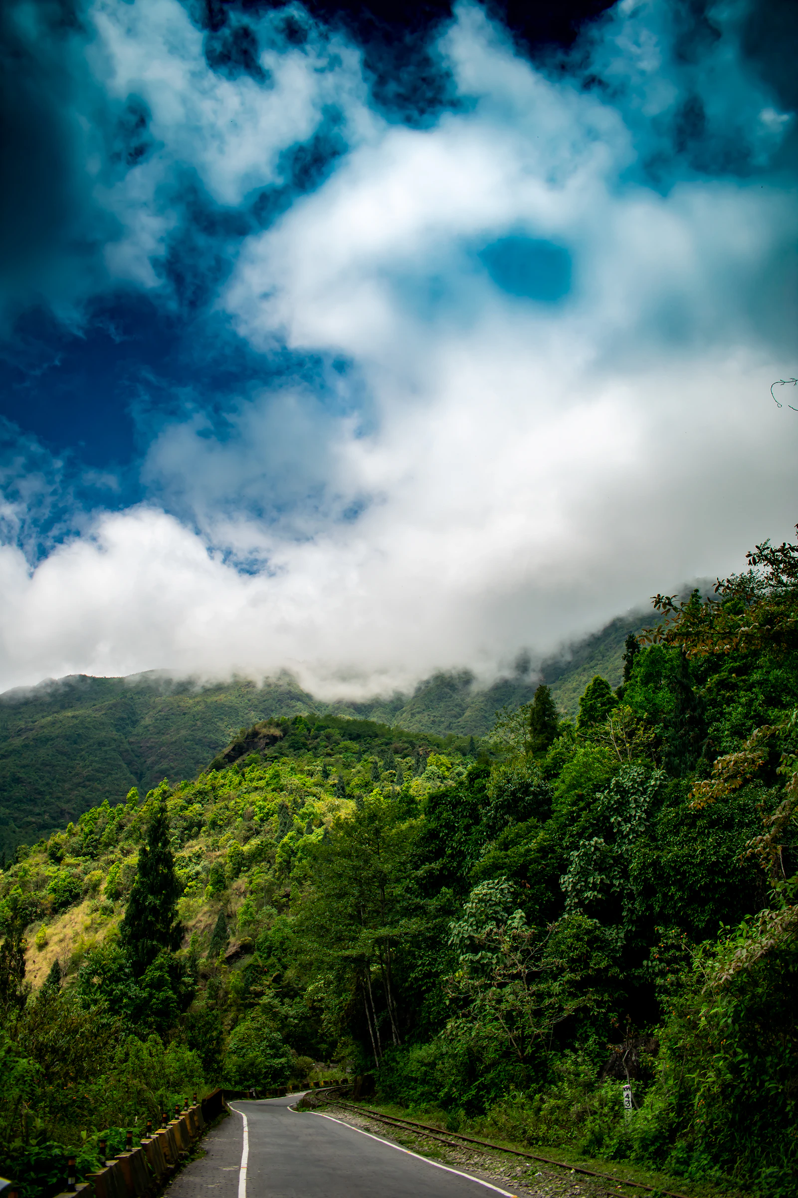 Darjeeling & Gangtok