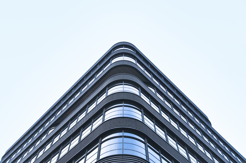 shallow focus photography of curtain wall building