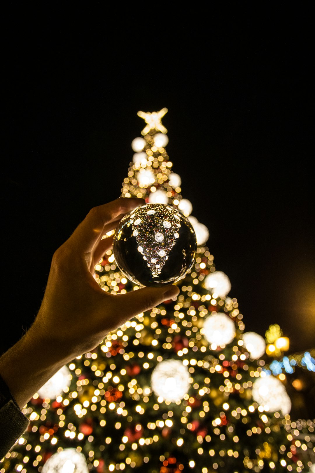person lifting bauble near Christmas tree