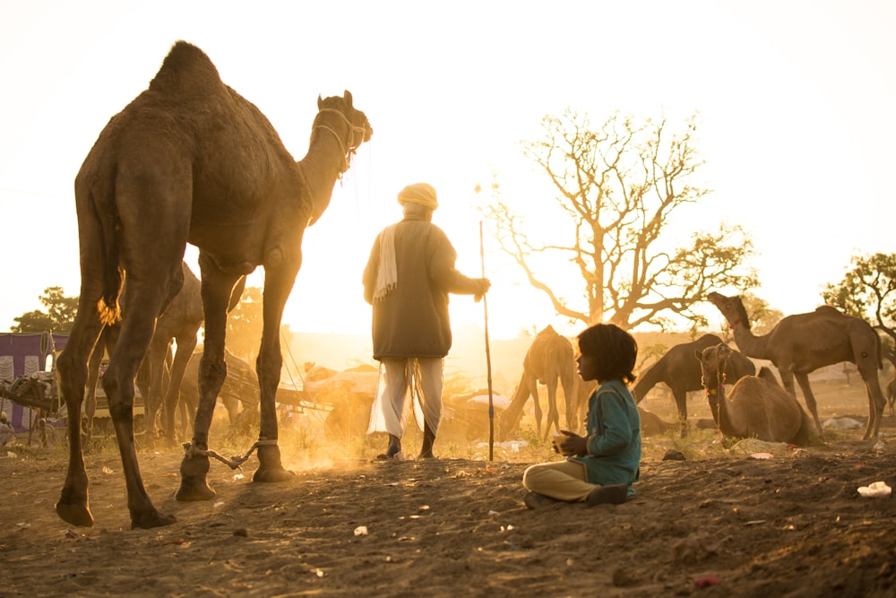 man and boy standing and sitting beside camels at daytime