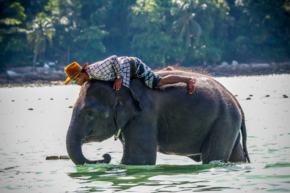 person riding elephant