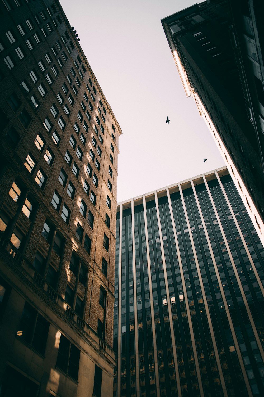 low-angle photography of concrete buildings