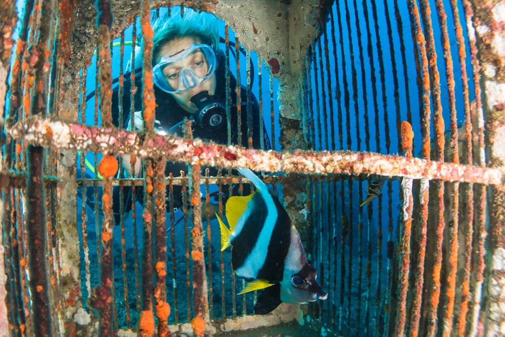 man using blue diving suit near white and yellow fish