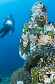 diver diving on ocean floor near statue