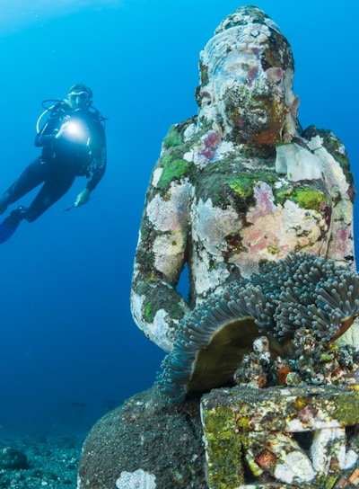 diver diving on ocean floor near statue
