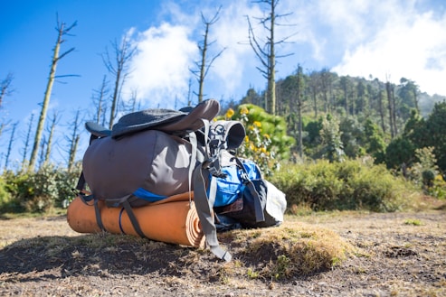 A backpack sits on the ground in a natural setting, surrounded by dead trees and under a partly cloudy sky. The backpack is adorned with various camping gear, including a sleeping pad, suggesting an outdoor hiking or camping excursion.