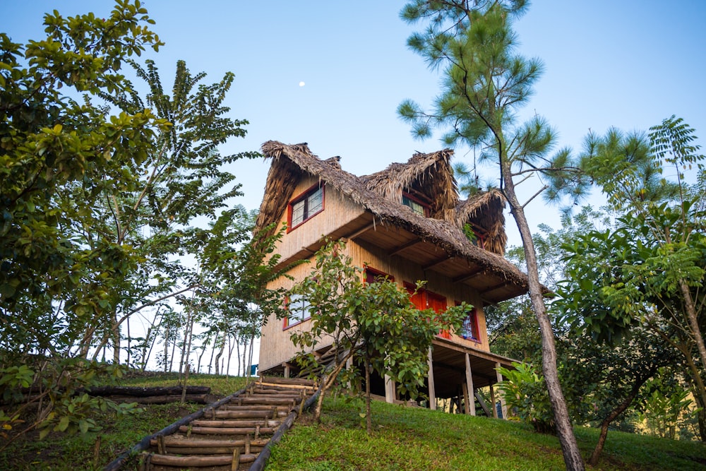 brown wooden house surround with trees