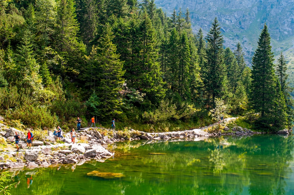 people standing on stone near calm water