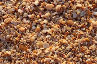 Rustic mosaic artwork made from tiny seashell pieces in sandy beige and ivory tones.