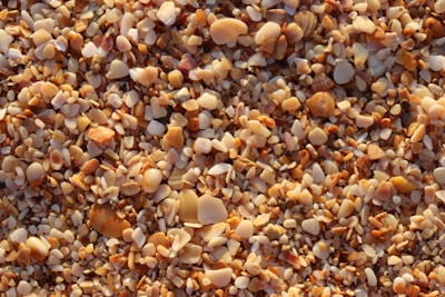 Rustic mosaic artwork made from tiny seashell pieces in sandy beige and ivory tones.