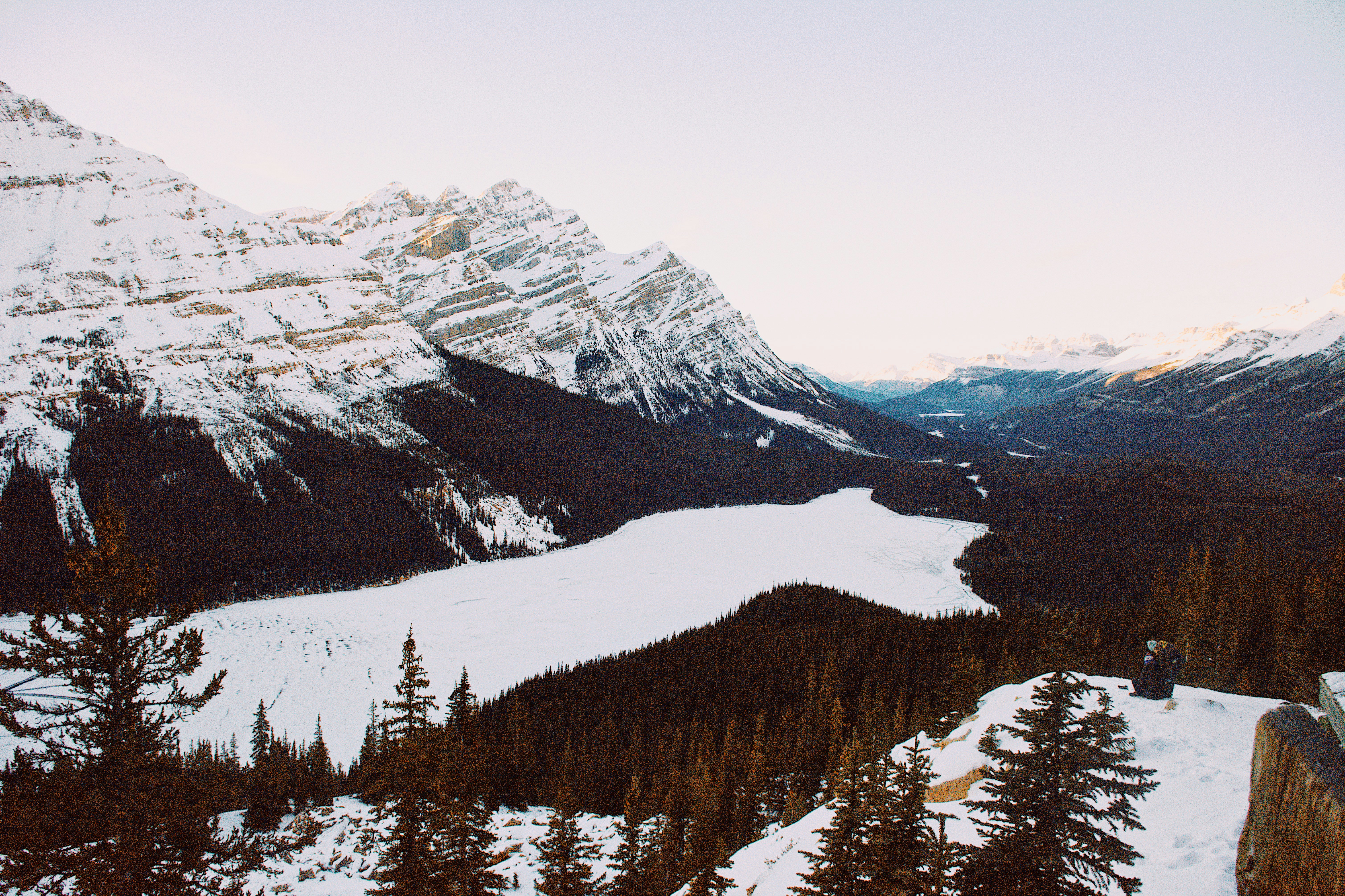 Photo by moonfallmedia