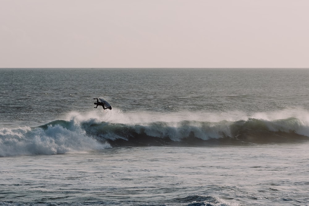 silhouette of person playing surfboard in ocean waves during daytime