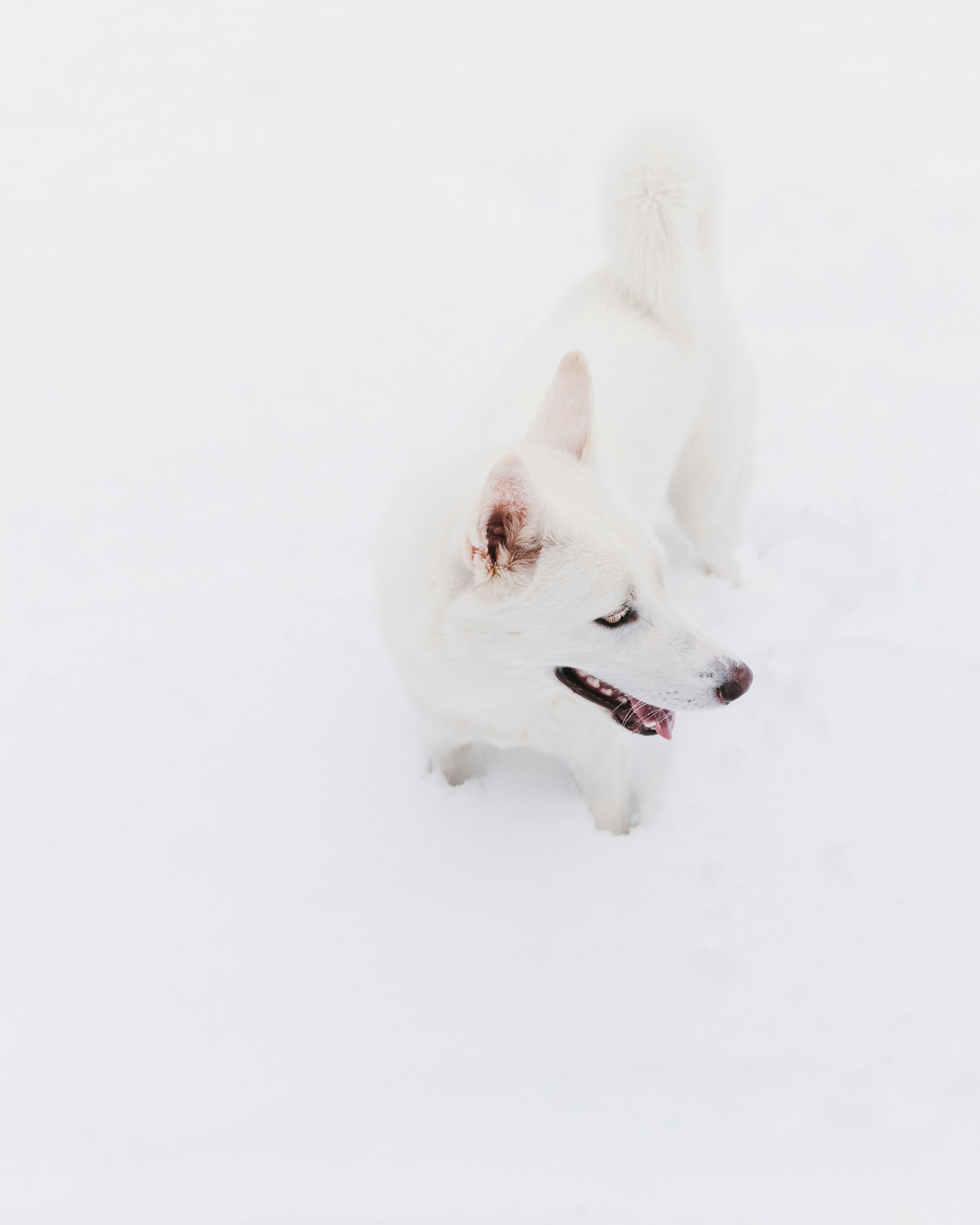 Photo by pajevictoria