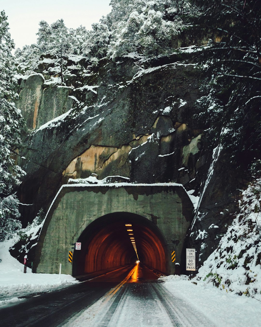 tunnel under mountain and trees