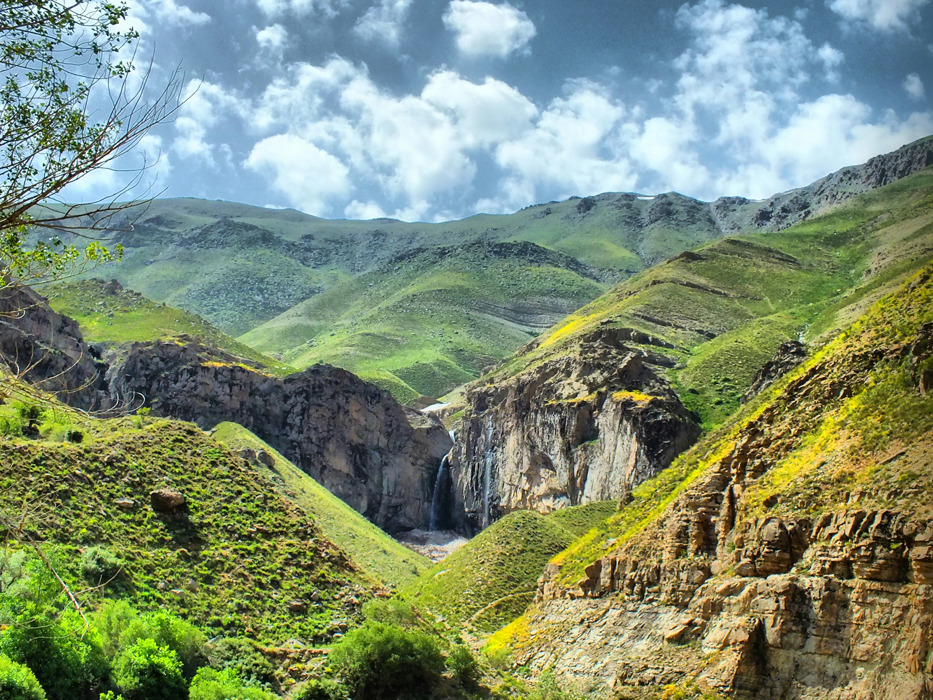 mountain covered with green grass