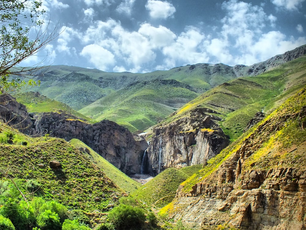 mountain covered with green grass