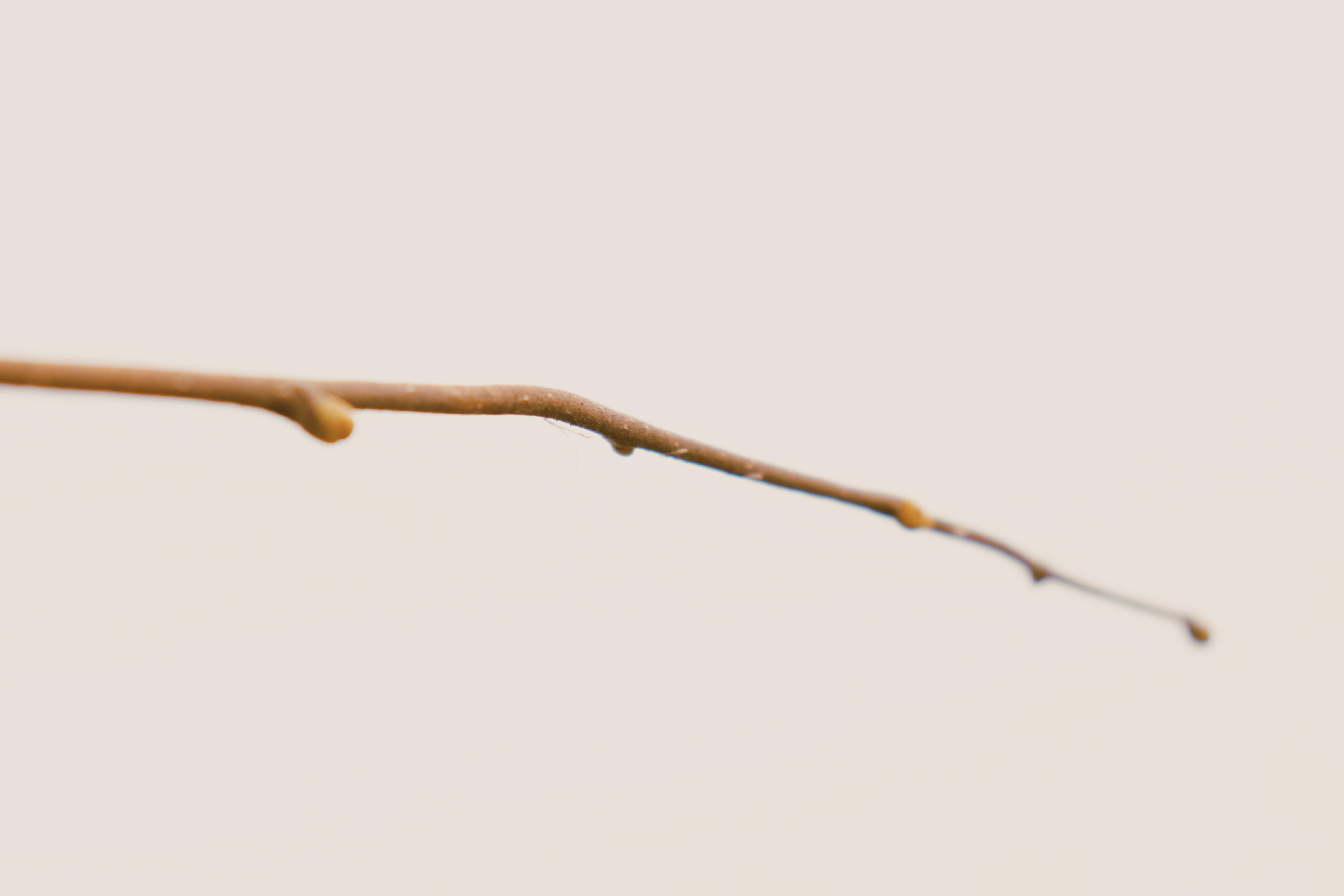 photo-1544661954-0d105cbb96b7?ixid=M3wxMjA3fDB8MXxzZWFyY2h8MTZ8fGxpbmslMjBiYWxpdGF8ZW58MHx8fHwxNzYwMDI3MzQwfDA\u0026ixlib=rb-4.1.0