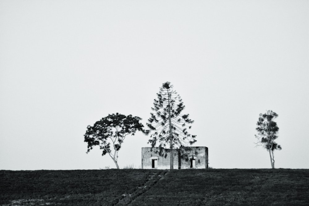 grayscale photo of concrete house near three trees