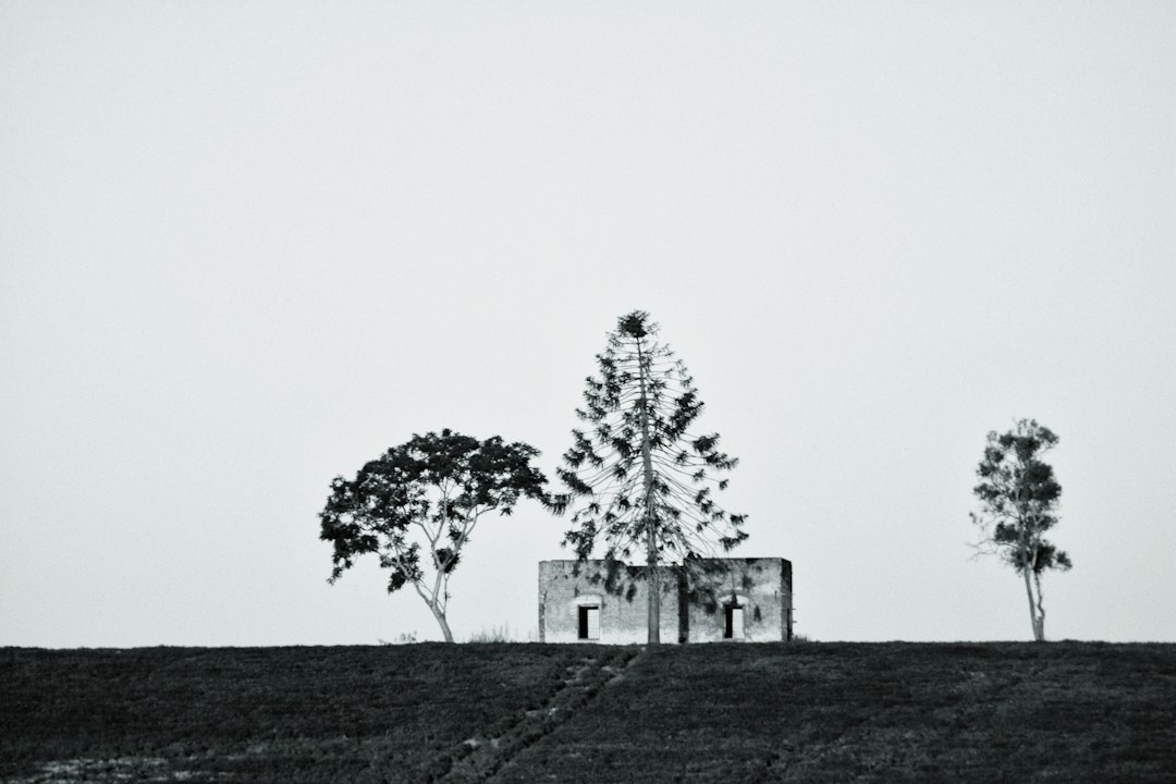 grayscale photo of concrete house near three trees, Ranch