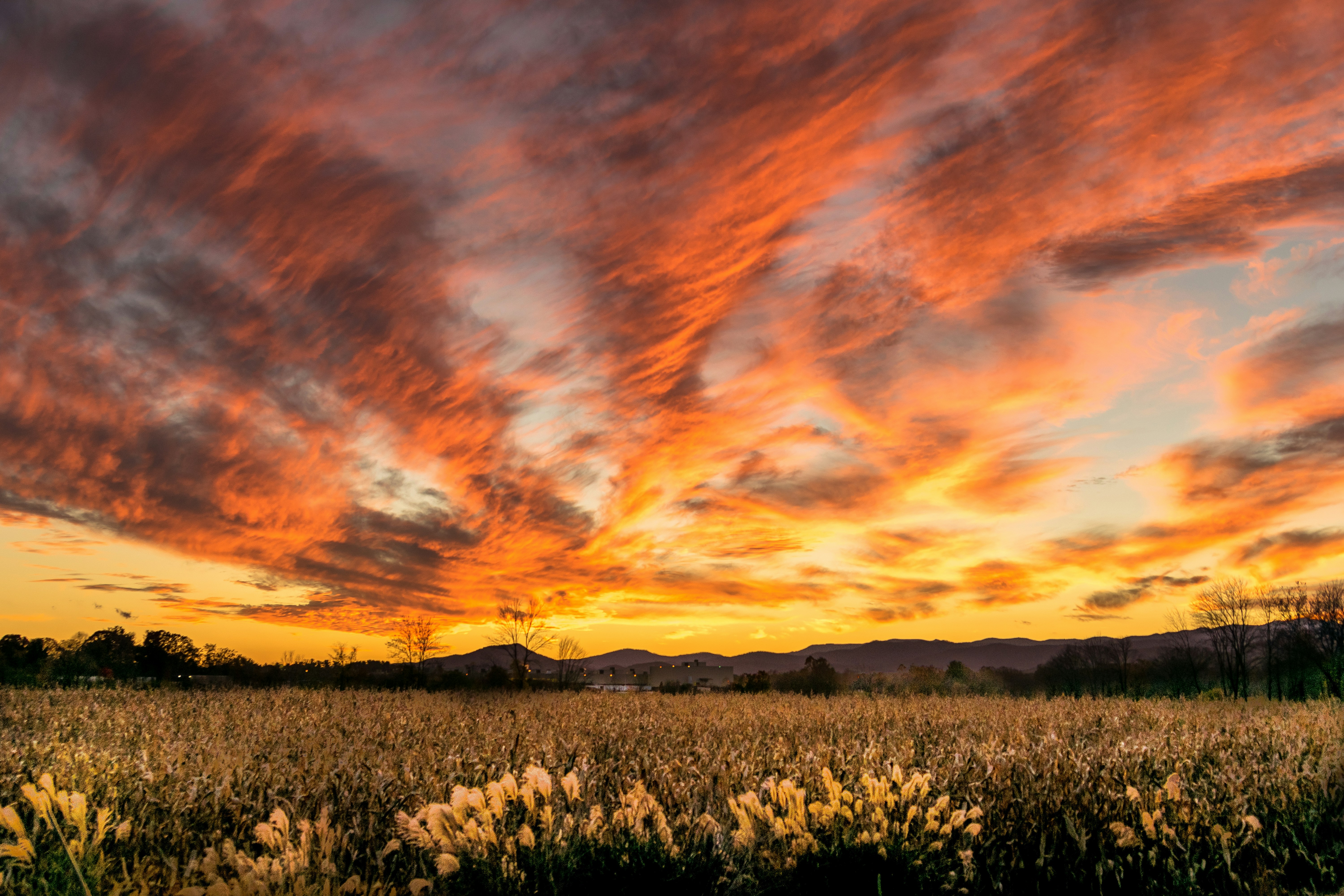 Photo by sagredophotography