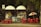 A small kiosk surrounded by trees featuring a variety of signs and advertisements is depicted. Bright red tables and chairs are positioned outside, some beneath a Coca Cola-branded umbrella. There are colorful posters and products displayed inside the kiosk.
